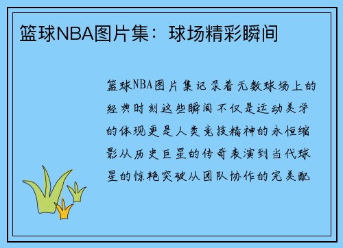 篮球NBA图片集：球场精彩瞬间