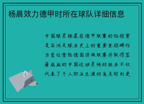 杨晨效力德甲时所在球队详细信息