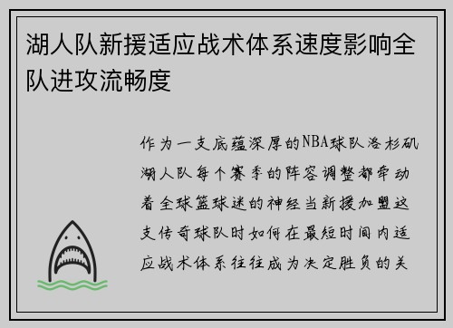 湖人队新援适应战术体系速度影响全队进攻流畅度